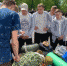 В колледже агротехнологий и  природообустройства состоялись V региональные  военно-спортивные юношеские  игры - Министерство образования