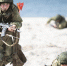 На полигоне под Балтийском пройдёт всеармейский конкурс «Морской десант-2022» - Новости Калининграда | Фото: Александр Подгорчук / Архив «Клопс» - Klops.Ru