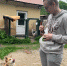 | Картинка 1 - БФУ им. И. Канта