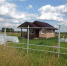 Фото: http://kvobzor.ru/u/news/0994282feedcb8f34202987d3e1318.jpg - KaliningradNews.Ru