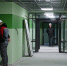 b67e05cb58d859700ac0c9db75d17737_cr.jpg - NewKaliningrad.Ru