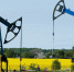 Польша и Германия подали заявки на поставку российской нефти - NewKaliningrad.Ru