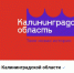 2023-02-13_145904.jpg - NewKaliningrad.Ru