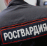 Жительница Славска устроила дебош в калининградском баре - NewKaliningrad.Ru