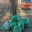 Фото: https://minprirody.gov39.ru/upload/iblock/921/v4wd9hmvlfbs7lydxwcz3xjxhfvj71sh/64576D12-6AA6-4F91-83DE-EAC9389D86F7.jpeg - Kgzt.Ru