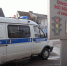 На женский день под Гвардейском житель Черняховского района увёл бычка - ИА Русский Запад