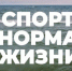 «Спорт — норма жизни» (24.03.23) Диск-гольф и бесплатные беговые тренировки на стадионе «Калининград», Кубок А. Шумилина, настольный теннис, Н. Алещенко - Калининградская ГТРК