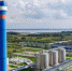 Стала известна зарплата гендиректора «дочки» Татнефти в Калининграде - ИА Русский Запад