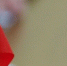 epz4kk4yc2h990cgf0wo9tdbzzahvprh_cr.jpg - NewKaliningrad.Ru