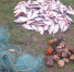 Фото: http://zbtu39.ru/wp-content/uploads/2023/04/foto-seti-i-ryba.png - KaliningradToday.Ru