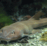 Kldzoo 2023 04 19_3354.JPG - Калининградский зоопарк