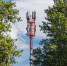 Tele2 обеспечила скоростным интернетом жителей калининградского поселка Куликово - NewKaliningrad.Ru