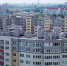 39% квартир в новостройках Калининграда продаются по акции - NewKaliningrad.Ru