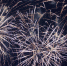 pixabay - FlashNord.Com