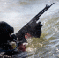 Фото: https://function.mil.ru/images/upload/2019/bf1-12072023-550.jpg - KaliningradToday.Ru