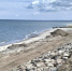 «Камни и сваи»: в Куликово укрепили километровый участок берега - Kaliningrad.Ru