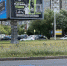 Мавританский газон на улице Горького - Kaliningrad.Ru