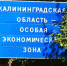 Фото: https://mosopora.ru/upload/000/u1/a3/34/8f276949.jpg - KaliningradToday.Ru