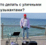 опрос музыканты.jpg - ИА Русский Запад