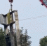 Зеленоградск лишили карусели с котом - ИА Русский Запад