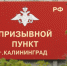 В России начался осенний призыв в Вооружённые силы - Калининградская ГТРК