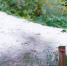 9hjeq38t6tejr4ml620xehf8otpiqbzn_cr.jpg - NewKaliningrad.Ru