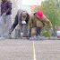Фото: https://gorsovetklgd.ru/sites/default/files/dscf0822.jpg - KaliningradNews.Ru