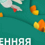 Остался один день… чтобы успеть подать заявку на Марафон добрых дел — 2023! - Калининградский добровольческий центр