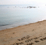 Фото: https://sandsign.com/img/pictures/0dc0459d8b211952_l.jpg - Kgzt.Ru