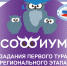 Задание первого (отборочного) тура регионального этапа Всероссийской олимпиады "Софиум" - Избирательная комиссия