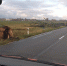В Багратионовском районе вдоль трассы вырубают 17 деревьев (фото) - NewKaliningrad.Ru