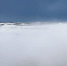_NEV3908_cr.jpg - NewKaliningrad.Ru