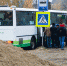 Власти региона нашли решение, позволяющее избавиться от давки в автобусах до Гурьевска - Новости Калининграда | Фото: Александр Подгорчук / Архив «Клопс» - Klops.Ru