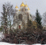На площади Победы в Калининграде остолбовали деревья (фото) - Kaliningrad.Ru