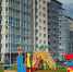 dolshiki 31 - Kaliningrad.Ru