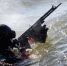 Фото: https://function.mil.ru/images/upload/2019/bf4-180124-550.jpg - KaliningradNews.Ru