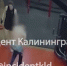 Появились подробности бесчинств полуголого в гуще девушек в Калининграде - ИА Русский Запад