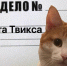 «Дело кота Твикса»: все, что известно о ситуации и самой проводнице - Kaskad.TV