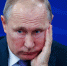 Санкции и котики: что обсуждал в Калининграде Владимир Путин - NewKaliningrad.Ru