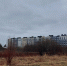 На ул. Громовой в Калининграде разрешили вырубить деревья и кустарники - NewKaliningrad.Ru