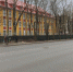 На Невского вырубают деревья под строительство заезда к будущему жилому комплексу (карта, фото) - Новости Калининграда | Фото: «Клопс» - Klops.Ru