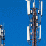 Tele2 показала высокие темпы роста сети в Калининградской области - Новости Калининграда - Klops.Ru
