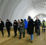 Власти рассказали, когда запустят завод по производству картофеля фри в Черняховске  - Новости Калининграда | Фото:  Минсельхоз Калининградской области - Klops.Ru