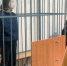 20-летнего исполнителя теракта под Калининградом отправили в СИЗО - ИА Русский Запад