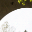 2appfhz02diwo3nm6ro7e19g0zvvhtme_cr.jpg - NewKaliningrad.Ru
