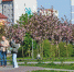 00-на-здоровье.jpg - Страна Калининград