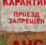 Минприроды Калининградской области предложило отстрелять 411 кабанов - NewKaliningrad.Ru