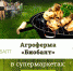 Как сделать барбекю полезным? - NewKaliningrad.Ru