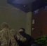 В Калининграде завели уголовное дело на фирму, которая выдавала иностранцам поддельные сертификаты о знании русского языка - Kaskad.TV