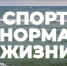 «Спорт – норма жизни» (14.06.2024) Всероссийский фестиваль корпоративного спорта, сапы, велоспорт, «Балтийский Шторм», С. Кандалов и Всероссийский день футбола - Калининградская ГТРК